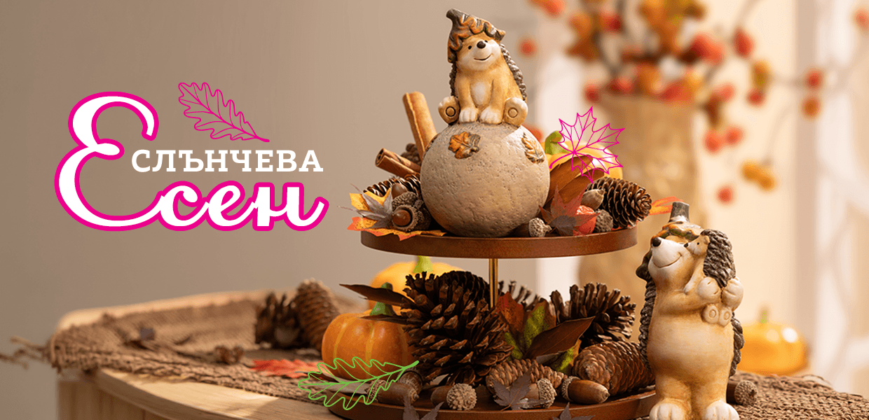 оазис у дома