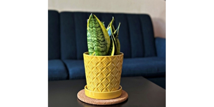 Подложки за саксии и кашпи