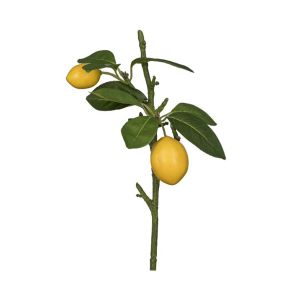 ДЕКОРАТИВНА КЛОНКА ЛИМОНИ 34CM