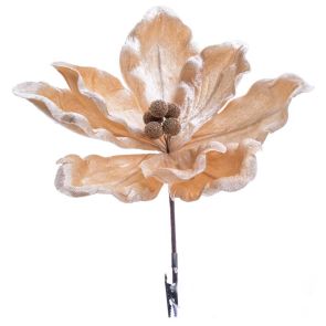 КОЛЕДНО ЦВЕТЕ МАГНОЛИЯ НА КЛИПС