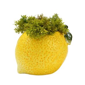 КАШПА