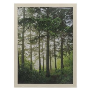 РАМКА ЗА СНИМКА 55/75 CM