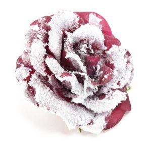 ЗАСНЕЖЕНА РОЗАНА КЛИПС