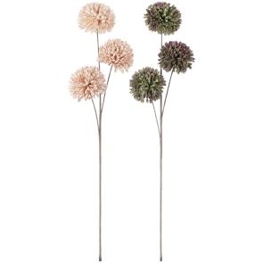 ДЕКОРАТИВНО ЦВЕТЕ