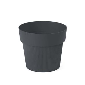 КАШПА Ф14.5 СM