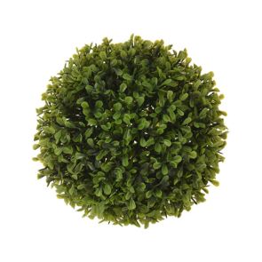 ДЕКОРАТИВНО РАСТЕНИЕ ТОПКА ЧЕМШИР