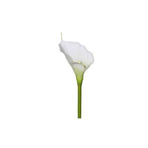 ДЕКОРАТИВНО ЦВЕТЕ CALLA 72СМ