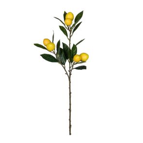 ДЕКОРАТИВНА КЛОНКА ЛИМОНИ 68CM