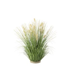 ДЕКОРАТИВНО РАСТЕНИЕ ПАМПАС 30/52 CM