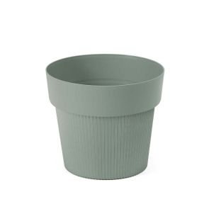 КАШПА Ф14.5 СM