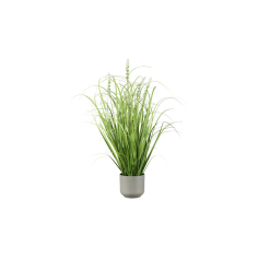 ДЕКОРАТИВНА ТРЕВА И САЛВИЯ 60 CM