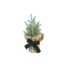 КОЛЕДНИ ИГЛОЛИСТНИ КЛОНКИ В ПОДАРЪЧНА КАШПА  21 CM