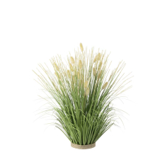ДЕКОРАТИВНО РАСТЕНИЕ ПАМПАС 30/52 CM