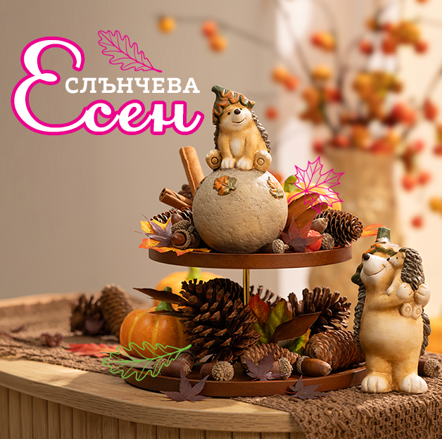 Слънчева есен 